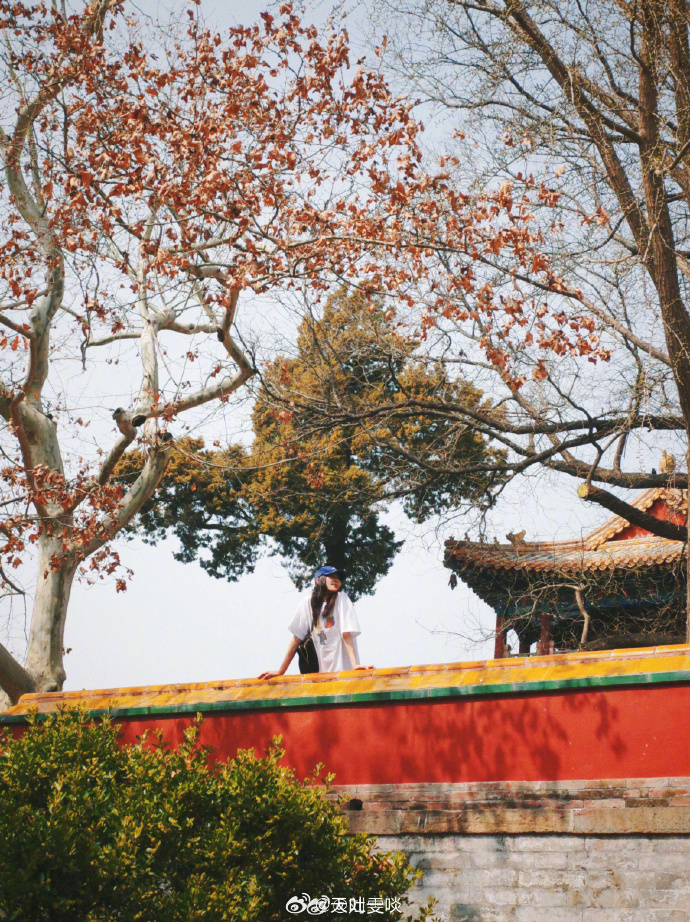 戴棒球帽漫步北海、笑容鲜活随性治愈 ——刘雯。每日明星美图分享