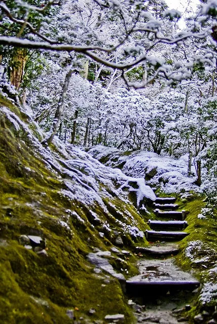 经一场大梦，梦中见满眼山花如翡，如见故人，喜不自胜。——priest《有匪》