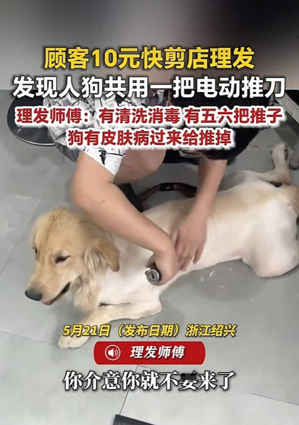 近日，浙江诸暨一男子走进一家10元快剪店，却目睹理发师正用电动推刀给患皮肤病的狗