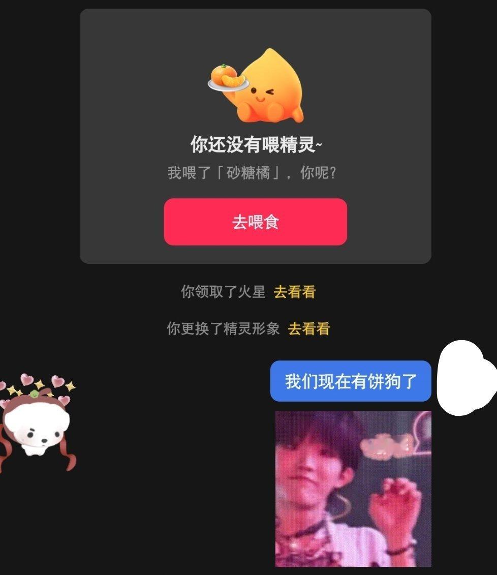 我拥有了灯生第一只饼狗儿 