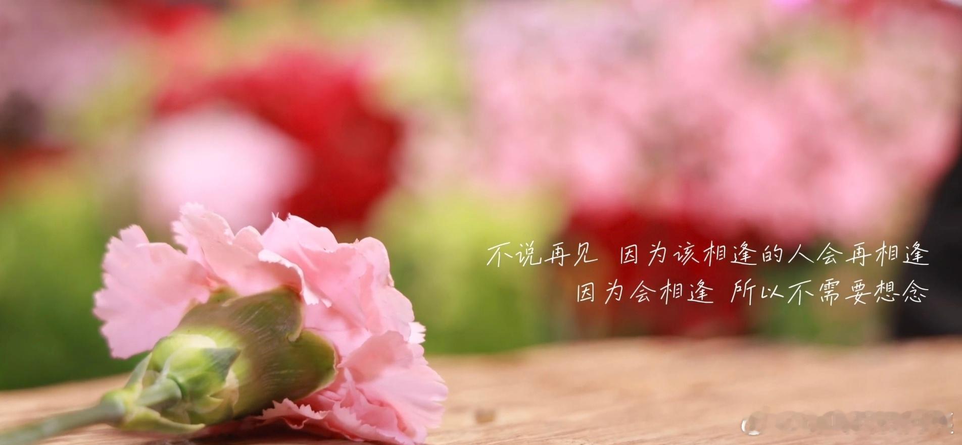 “不说再见，因为该相逢的人会再相逢。”“因为会相逢，所以不需要想念。”知道会相逢