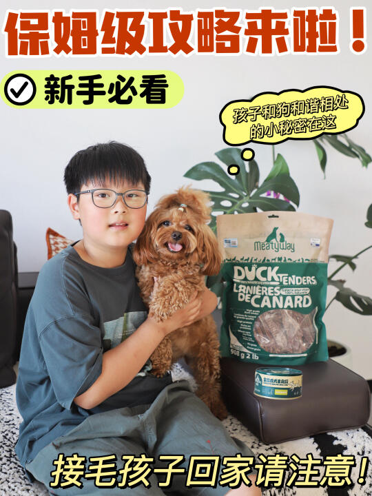 养狗新手别慌！记住这几点轻松拿捏狗生幸福