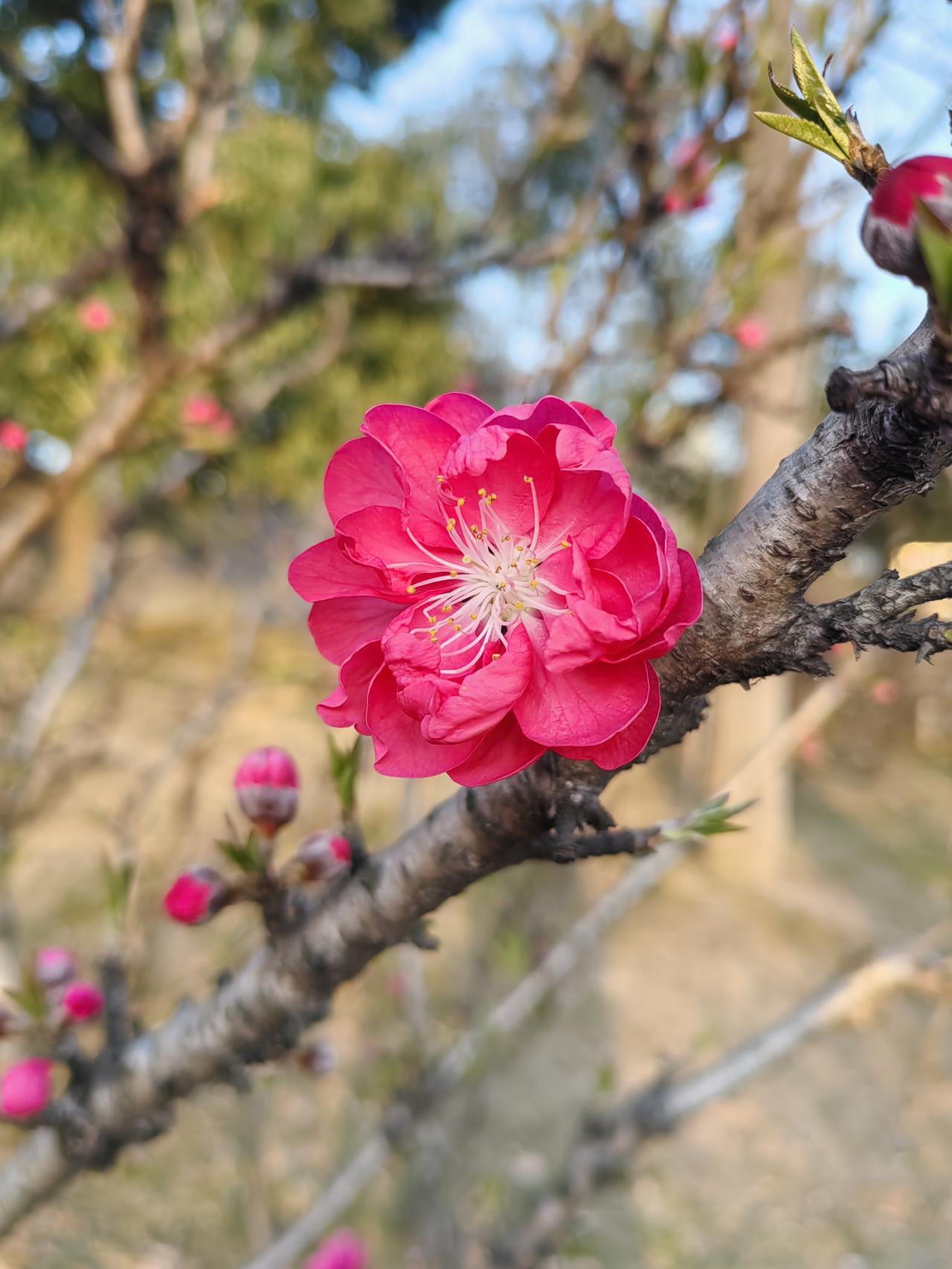 医不叩门，师不顺路。
还有3年退休，基本状态处于佛系状态。
自己做好自己的事情，