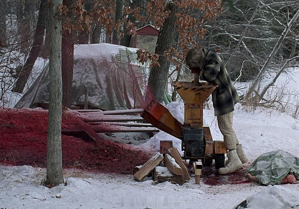 这也太恐怖了……马上想到1996版的电影《冰血暴》安徽一男子掉入草场粉碎机身亡