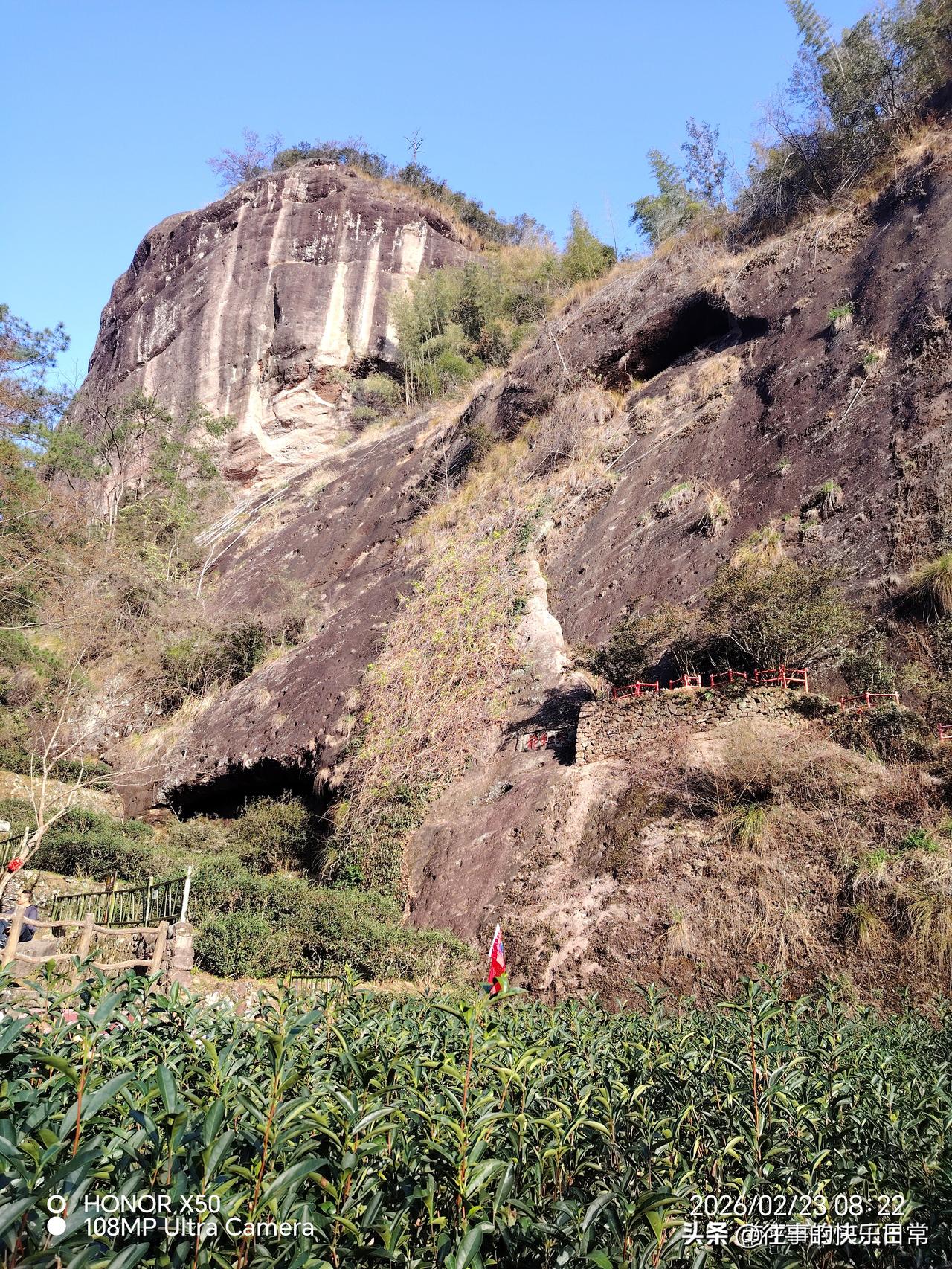 天南地北大拜年武夷山大红袍“天南地北大拜年”