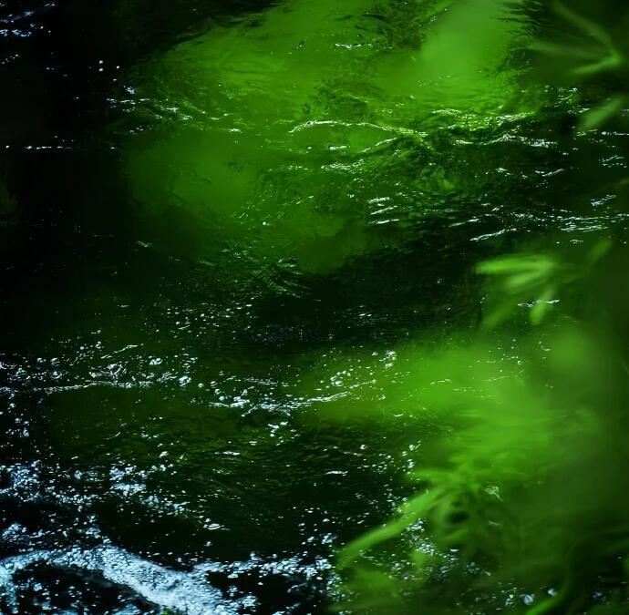 昔日的争吵声已消散在风中，留下的是内心的宁静与平和 