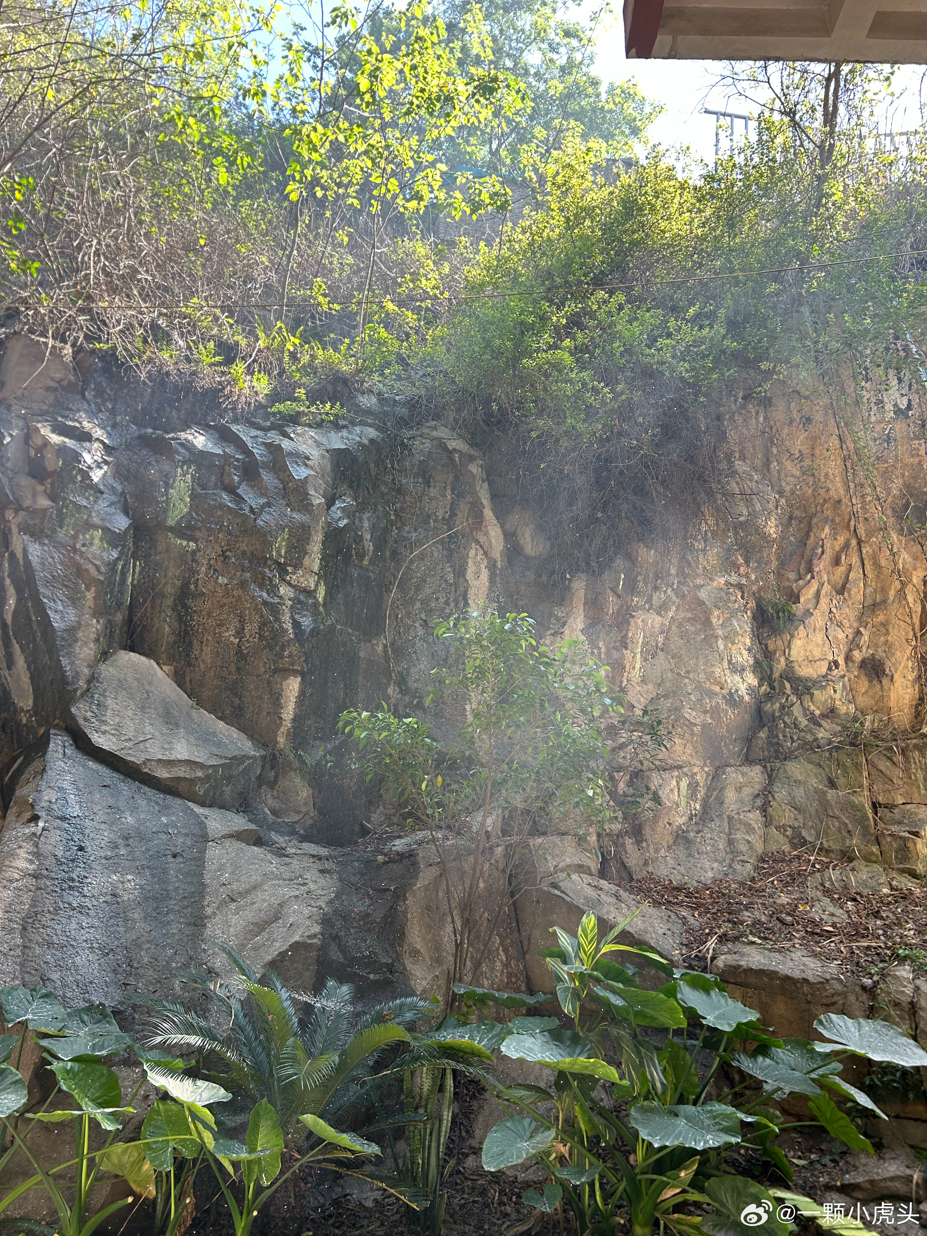 青山含翠，清明追思，愿思念随风，故人转生，岁岁常安。 