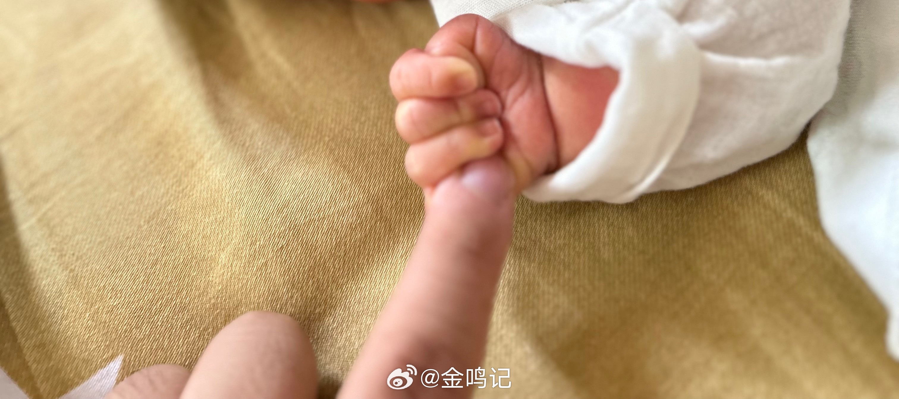 育儿暑期活动打卡在微博过暑假 Day9 