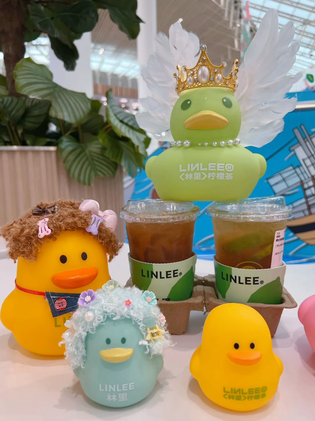 荟聚新店，林里两杯就抱走大鸭🦆