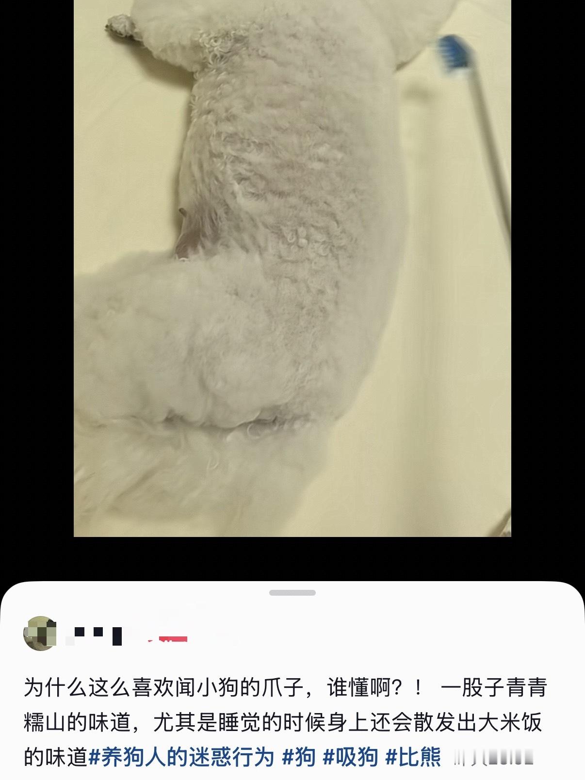 完全！我就是这样！🥺🤏🏻 好想走到哪就把我家的狗带到哪