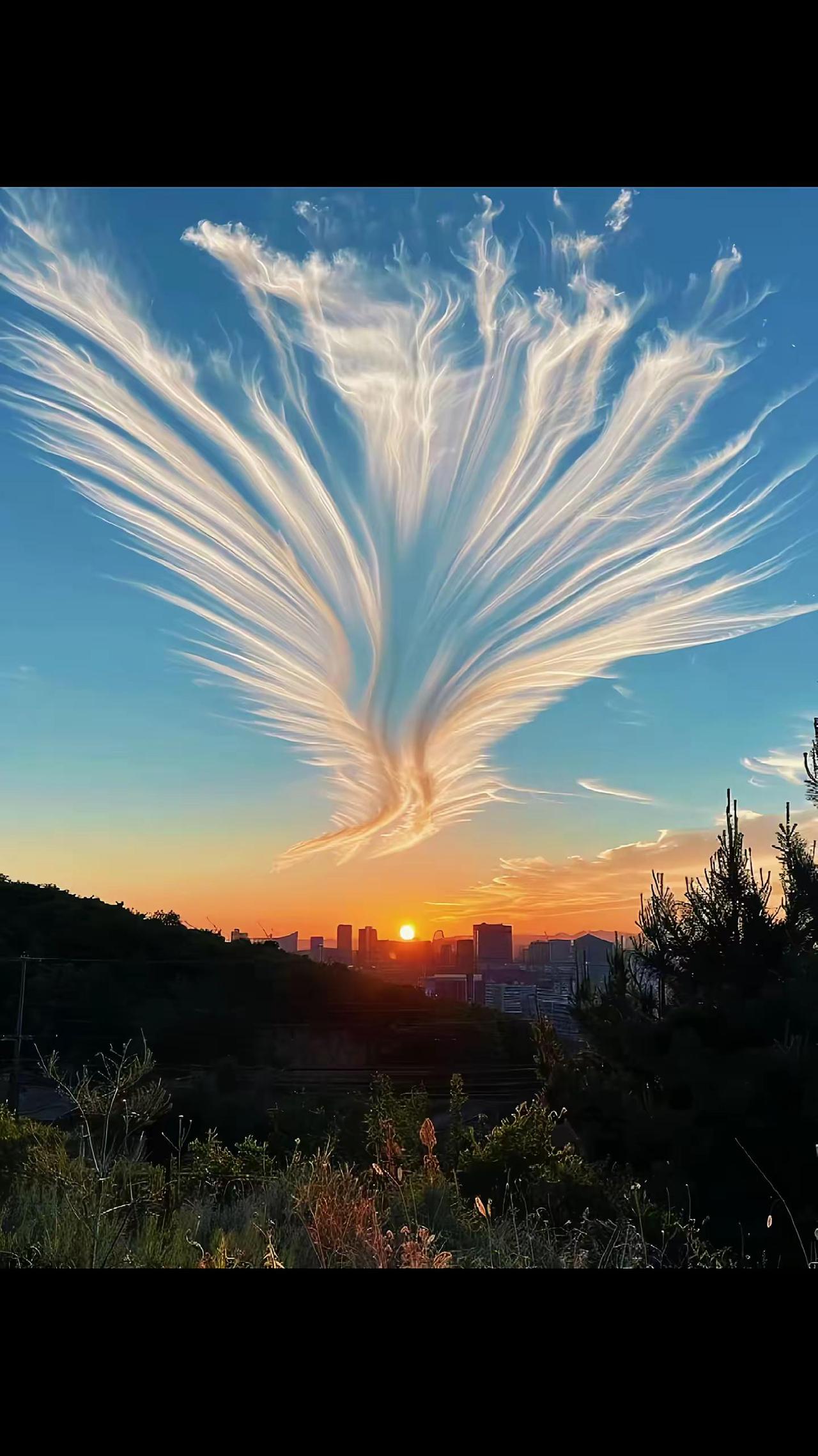 今天看到了超美的落日，天空中还出现了火凤凰云彩和七彩祥云，好幸运呀！火凤凰云彩 
