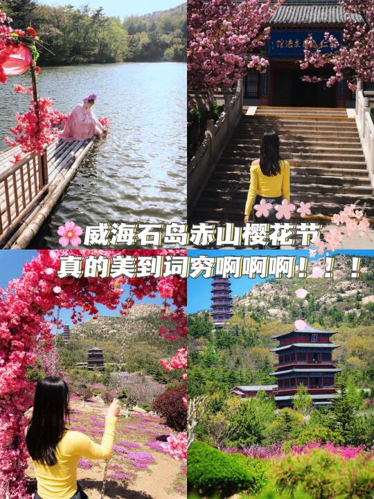 🌸威海石岛赤山樱花节真的美到词穷啊啊啊！！