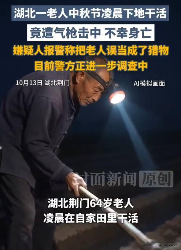 “全网质疑，必须严查！”老人中秋凌晨下地干活遭气枪夺命：两枪 + 折返现场，“误