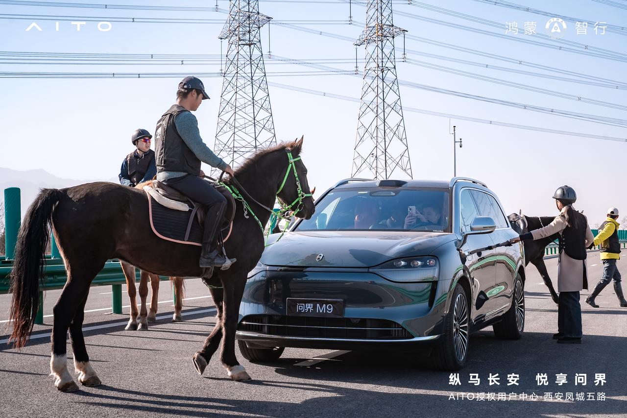 纵马长安🏇悦享问界
问界M9星河牧场马术体验日
圆满落幕！驾趣与雅韵交织，美好