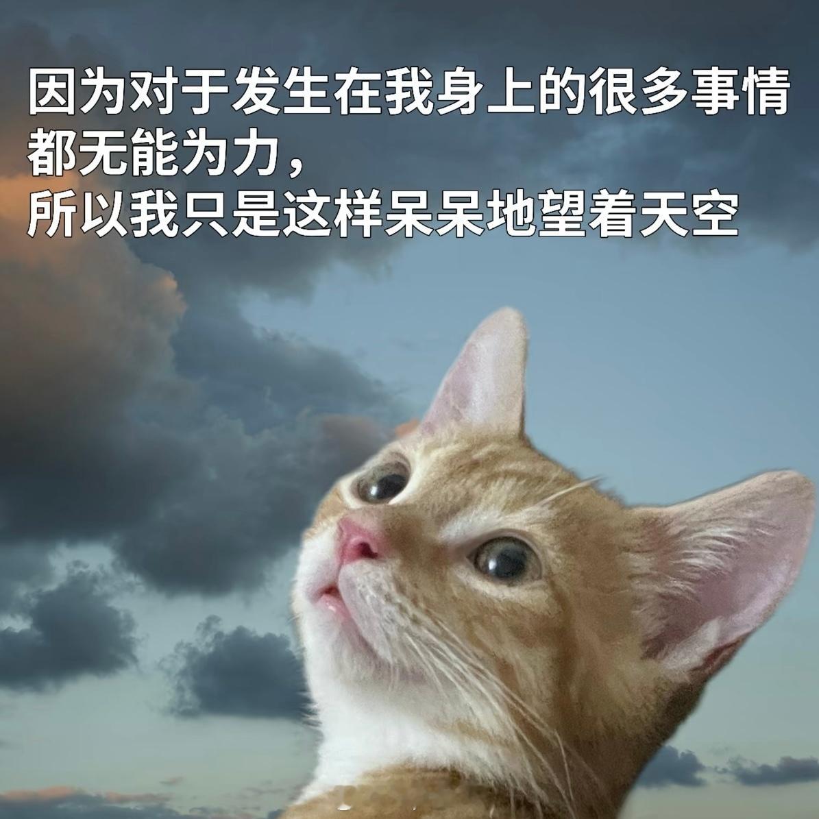 一到晚上脑子里就各种乱七八糟的事情，一堆负面情绪涌上来了，就失眠了。我不明白人为