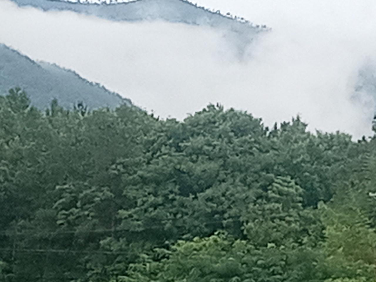 分享深山自然风景图