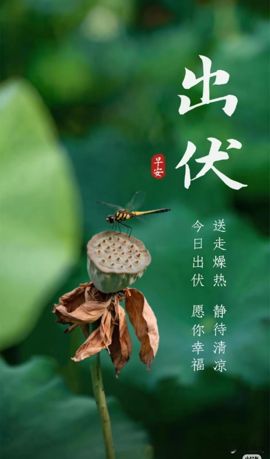 大家提个醒，
大家好有个心理准备。
今天是9月2号，已经正式出伏第10天了。
出