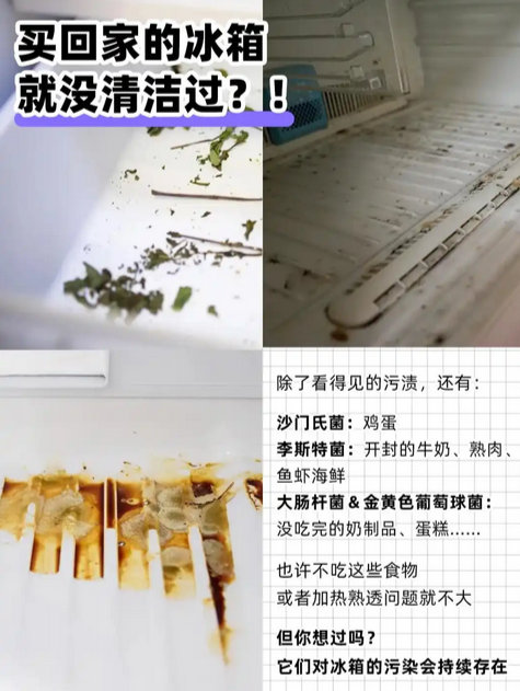 冰箱不等于保险箱 看似安全的冰箱，实则可能成为滋生致病菌的