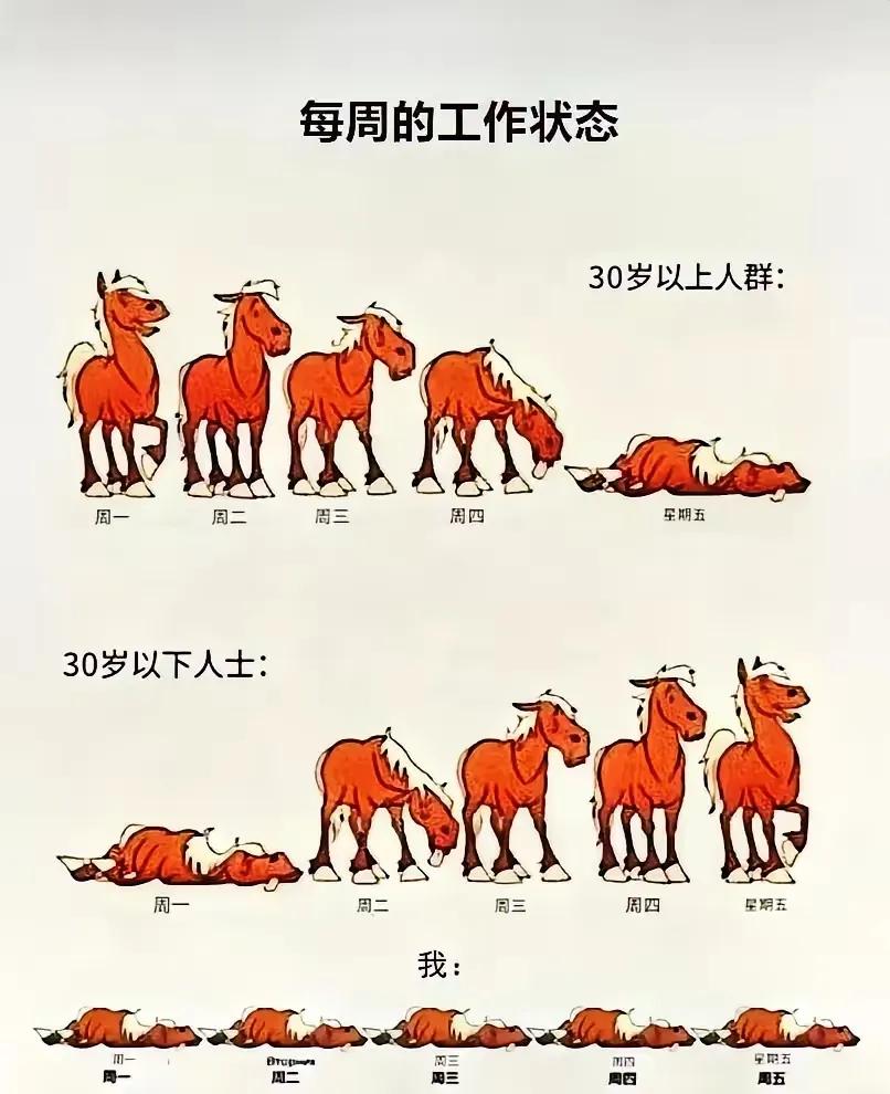 是这样的[捂脸]