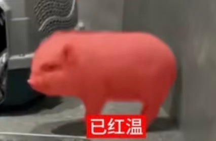 养tjt才16天，我怎么感觉过去16年了 
