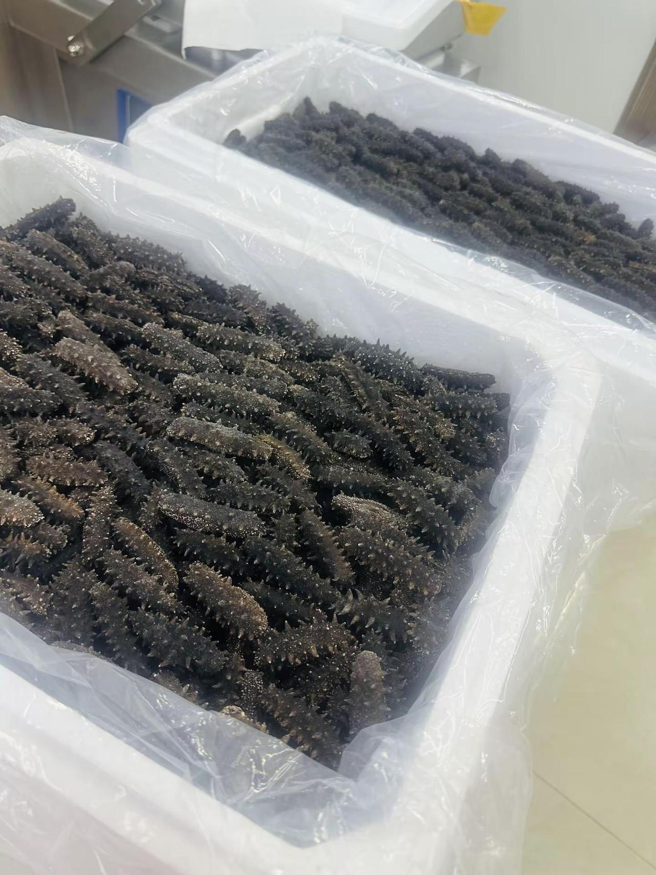 今天的参都泡发上了，每年入秋季就是来活了。开干吧，多余的废话不用说了，这年头谁也
