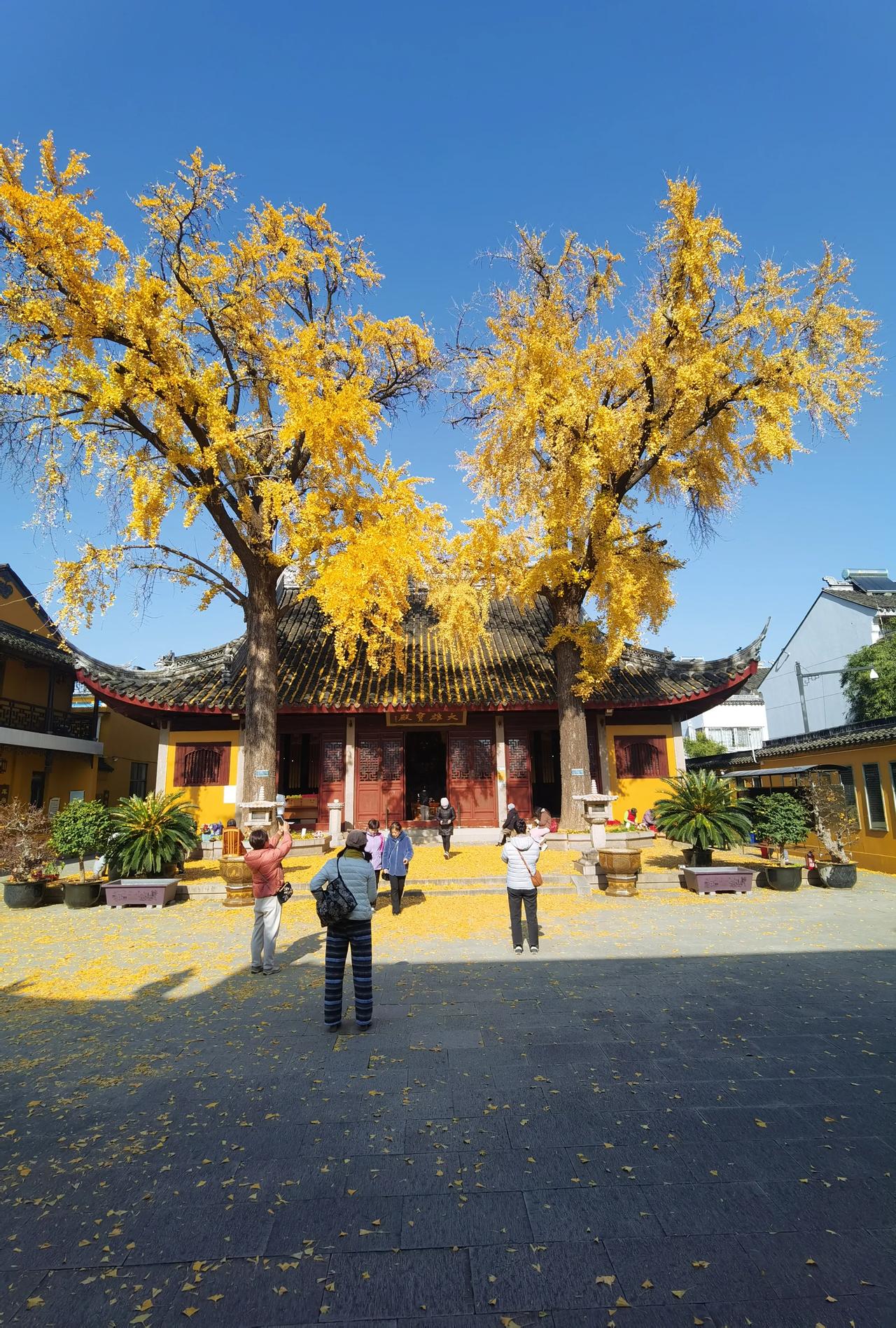 姑苏，寻寺行。访定慧寺得银杏木。
北宋遗风。