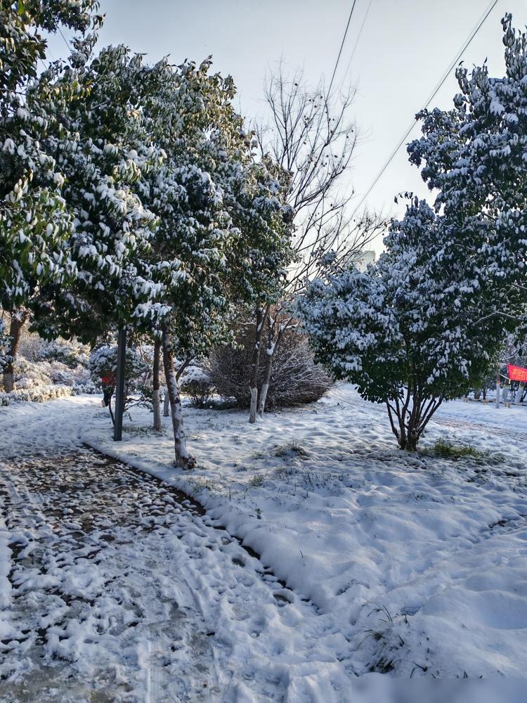 医保又有新的变化了，原来门诊检查只要不住院就不报销，做个检查必须住院，住院不够三
