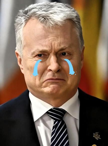 立陶宛总统最近松口了，说要为跟台当局在首都设代表处的事向中国正式道歉，还承认当时