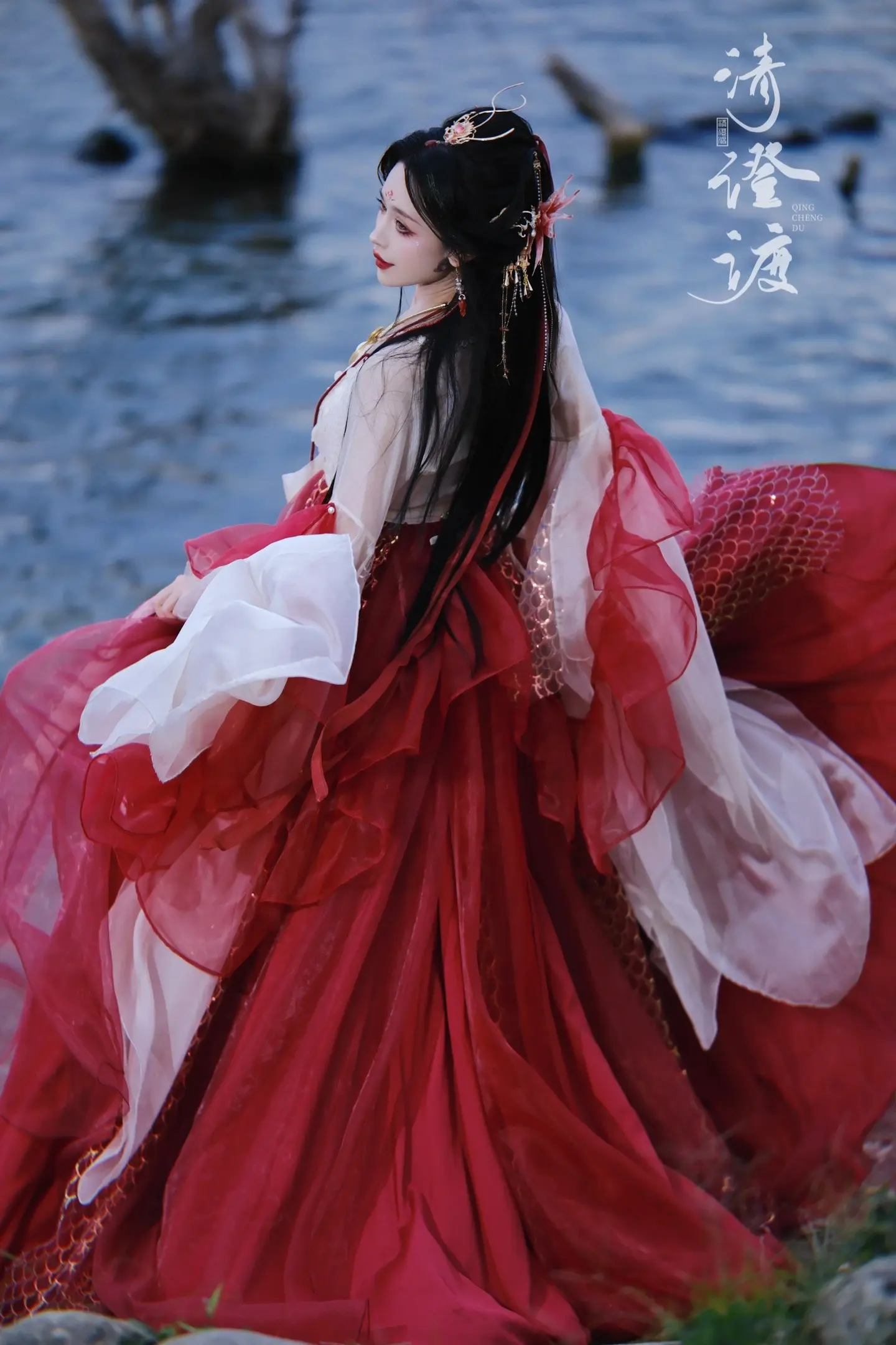 锦鲤～