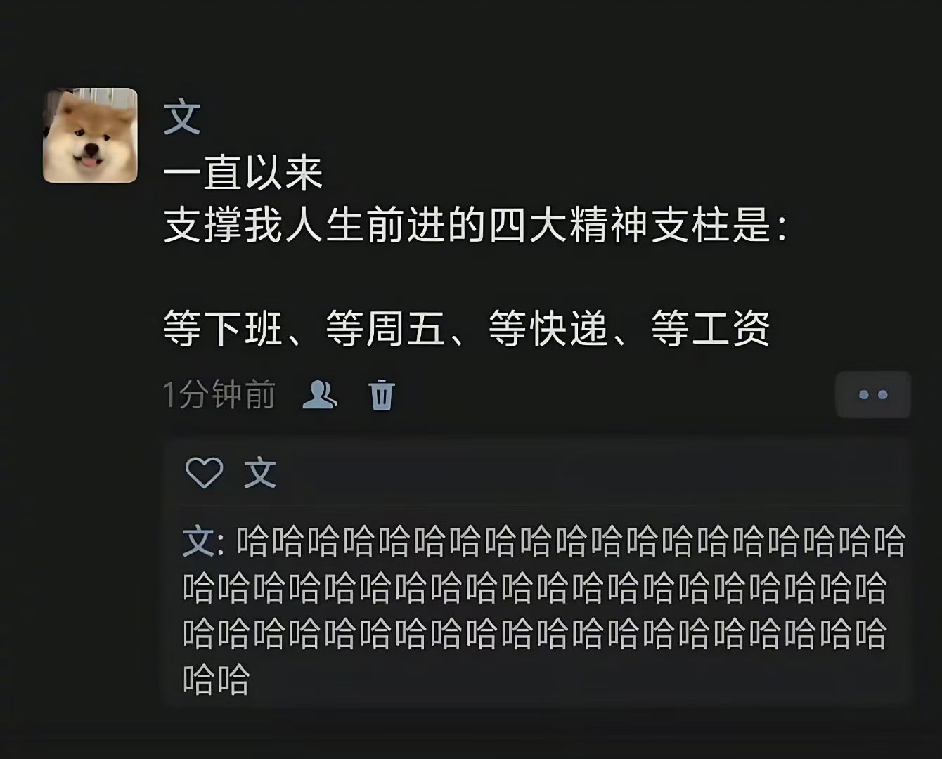 我的四大精神支柱🤓 