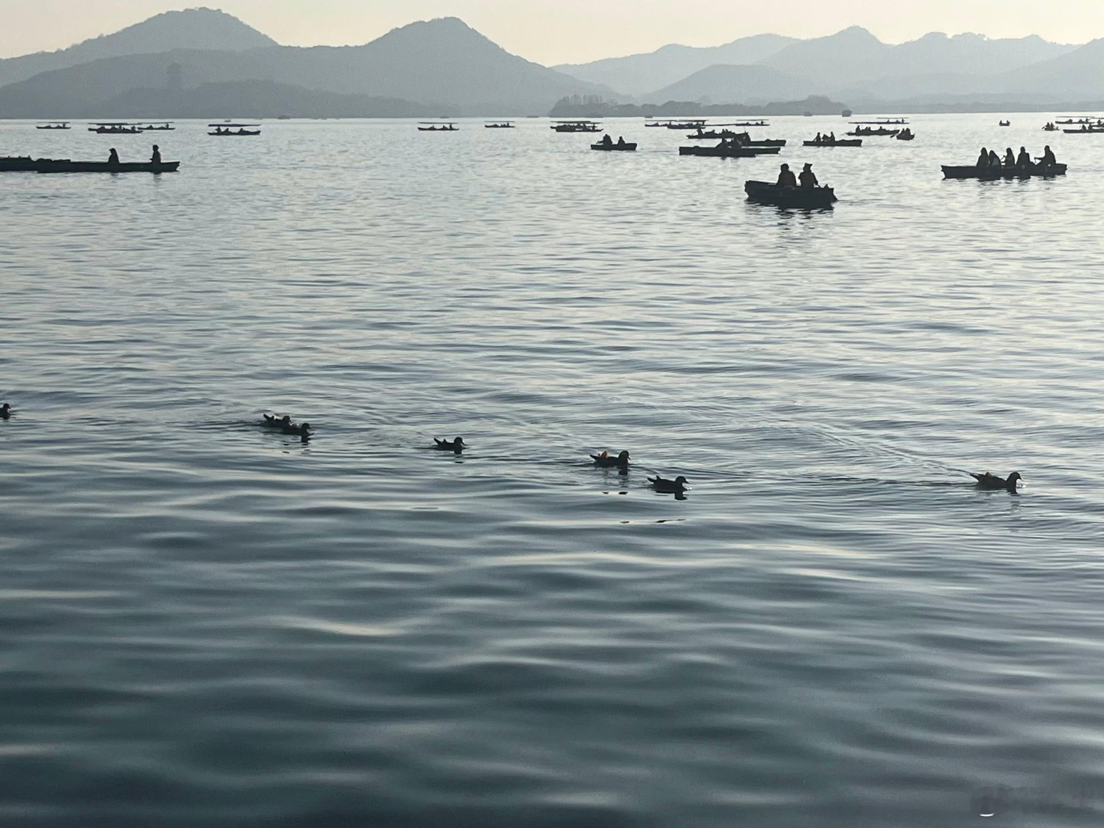 大家要搞清楚一个逻辑啊你如果去判断对方这句话的意思、试图理解他的想法，那你已经掉