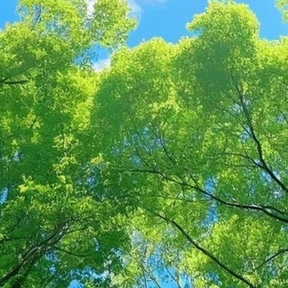 每日一善[超话] [微风]阳光信用 [微风]每日一善 传播正能量是一份积极的心态