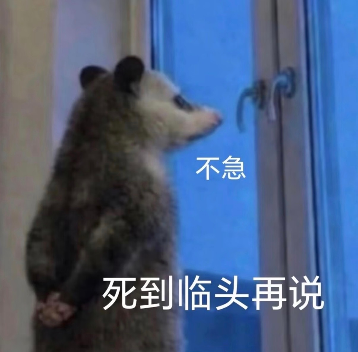 友谊赛第二局 中国女排24-26捷克女排 