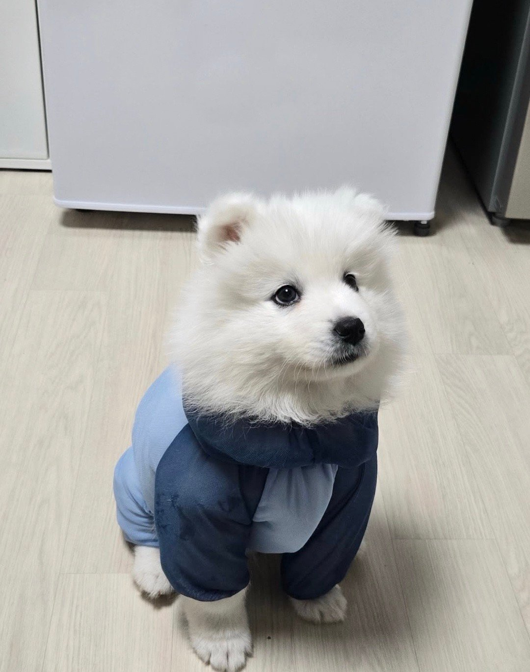 天冷了，宝宝要穿的暖暖的 ​​​