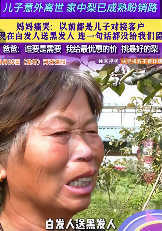 河南洛阳老两口遭遇白发人送黑发人，儿子骤然离世，数万斤成熟梨子销路成难题，朴实父