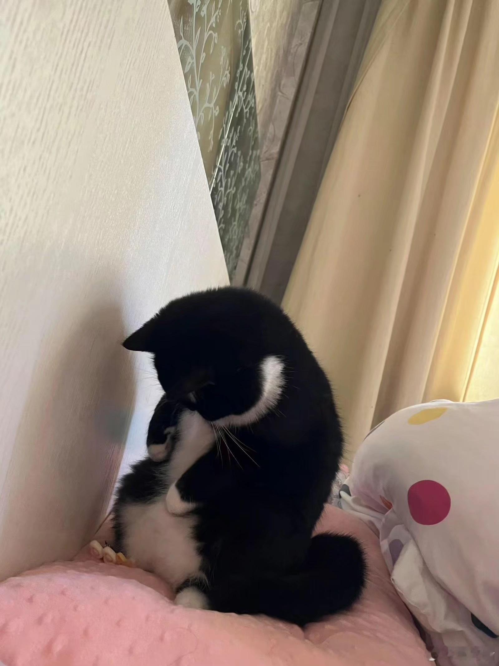 我肚肚逼人吗？ ​​​