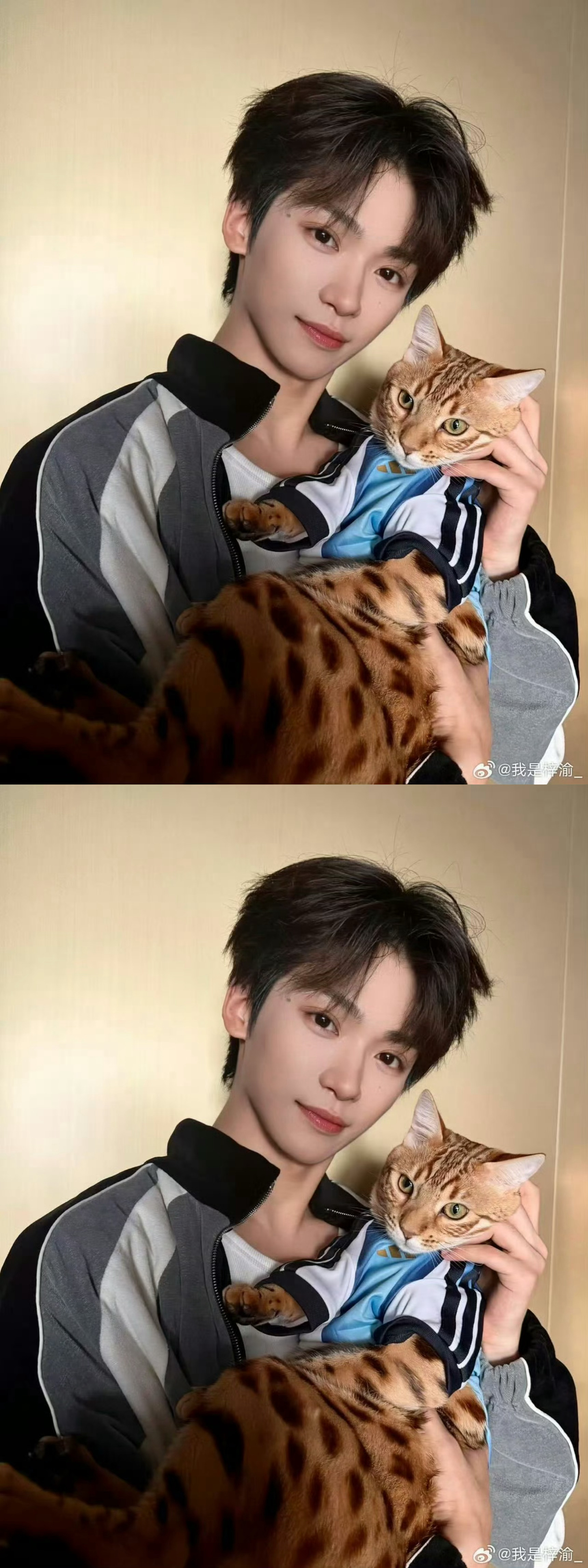 梓渝带猫看世界杯梓渝 五谷磨房 梓渝今日份新鲜营业：带大鱼和小十一一起看世界杯！