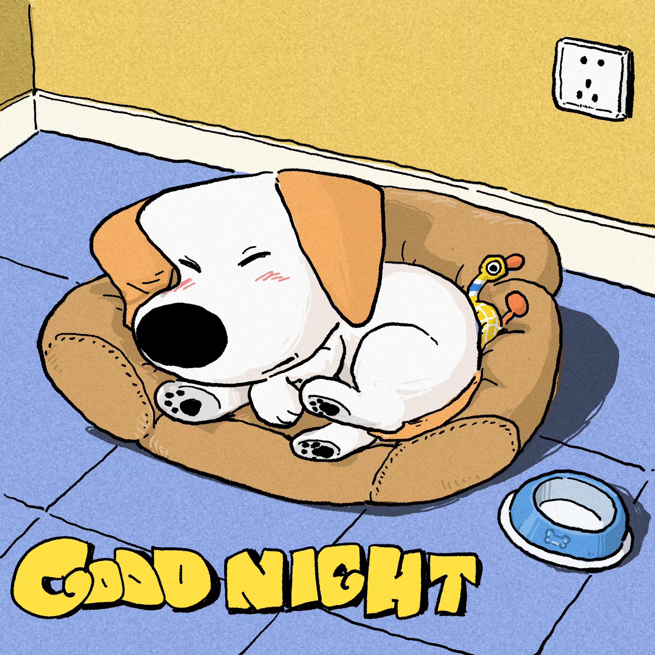 八点就睡觉的小狗集合了。晚安晚安💤