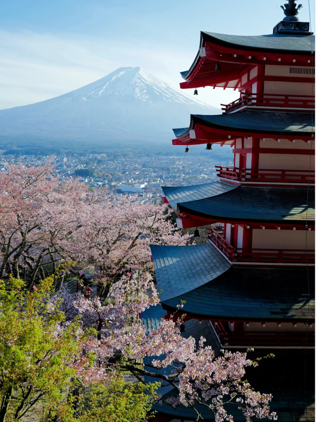 4月12日新仓山浅间神社🌸现状