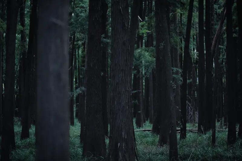 木森这个人
他与女友相伴三年，女友向他要一个名分，他却不肯给，实在缺乏最基本的担