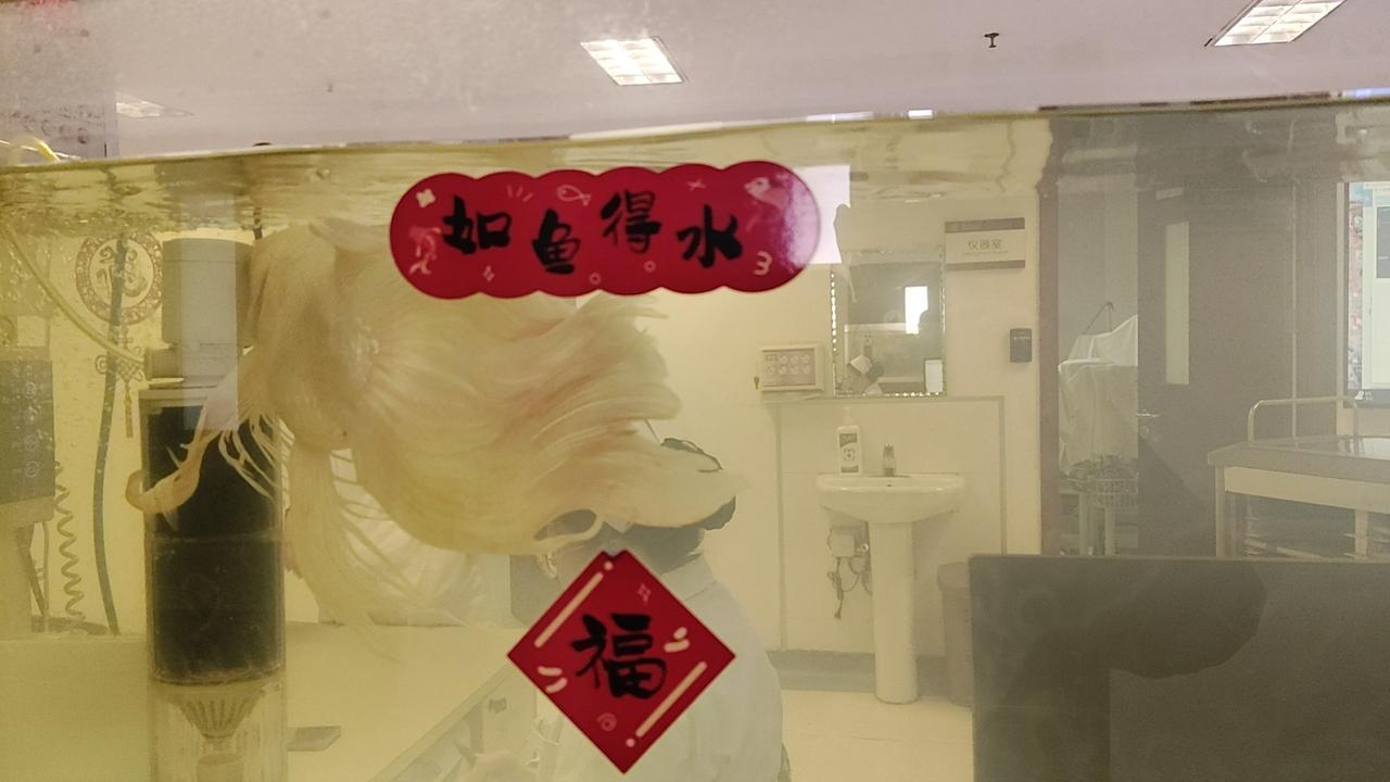 真三观尽毁，平台做法大快人心
湃新闻刊发博主“快快超快乐”吃室友剩菜饭涉畸形吃播