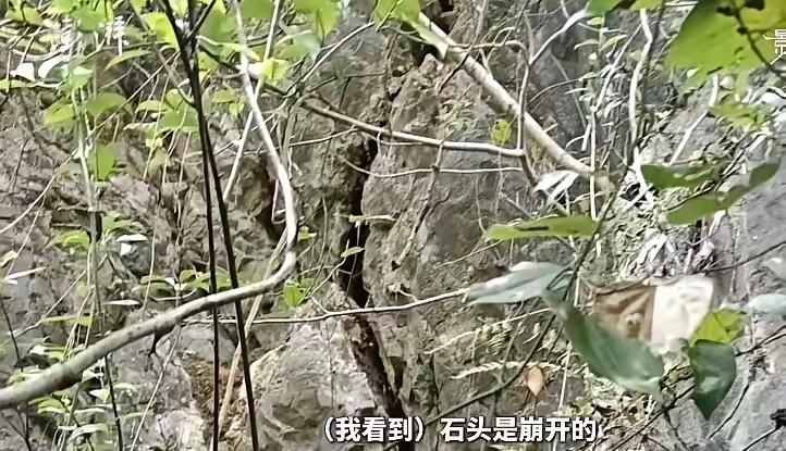 天呀！第一个发现山体崩塌的人因一个举动，错过了救所有人的最佳时机！

他在16号