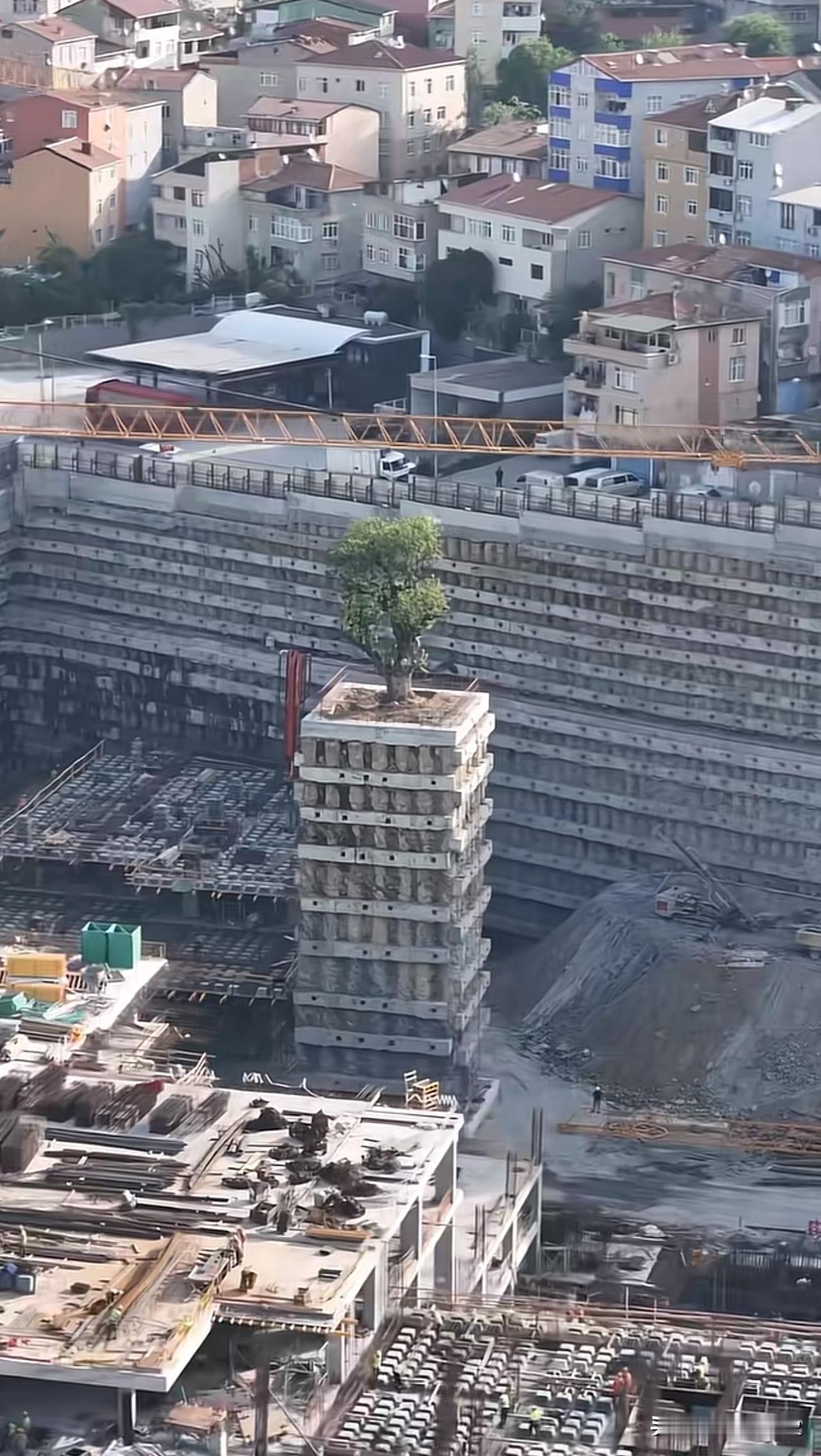 整片基坑挖空，唯独这棵树，被工程人托在了半空。
机器本可以推倒一切，但人们选择为