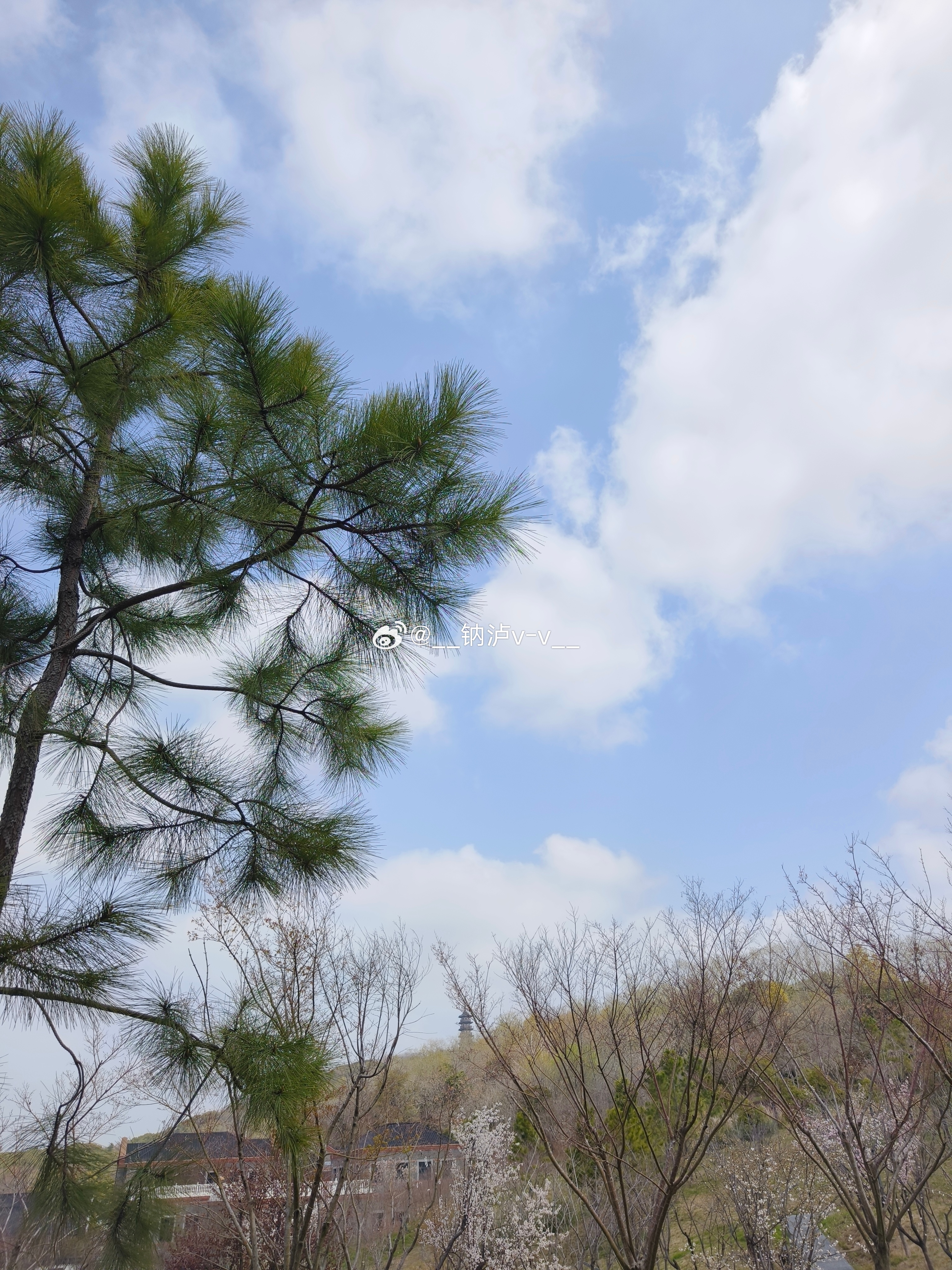 今天阳光很好。 