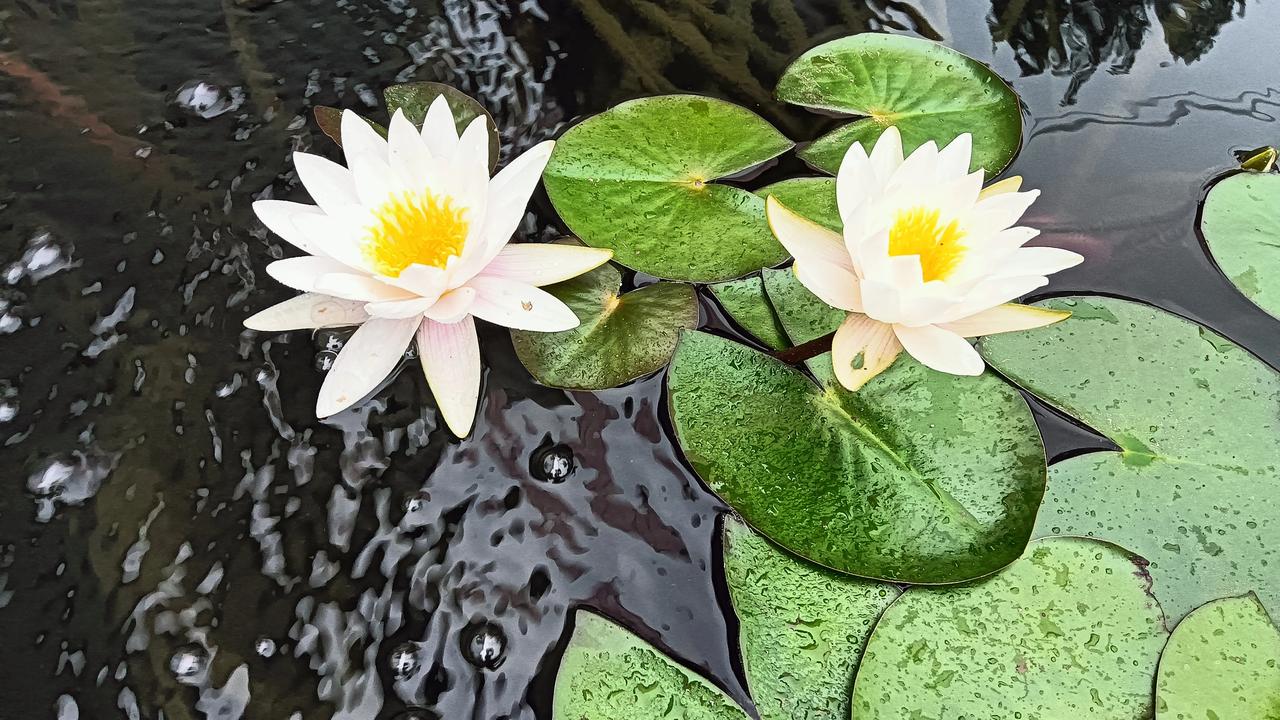 我这几年说到底，生活本身就是一种心情，幸福并不取决于我拥有什么我在何处，或者我在