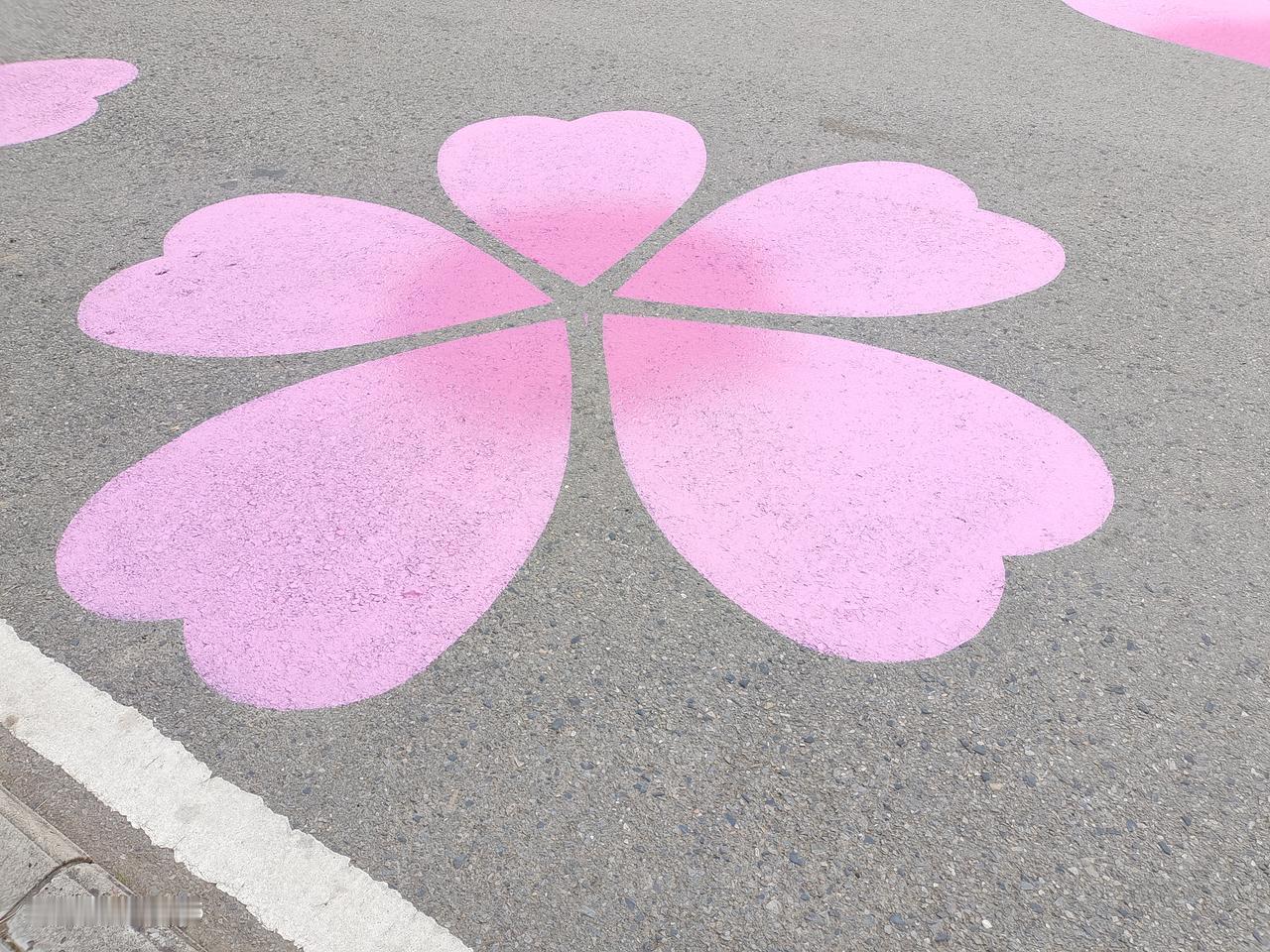 最独特的樱花在青山区建设三路，可移动盆栽樱花，不可动地面樱花。