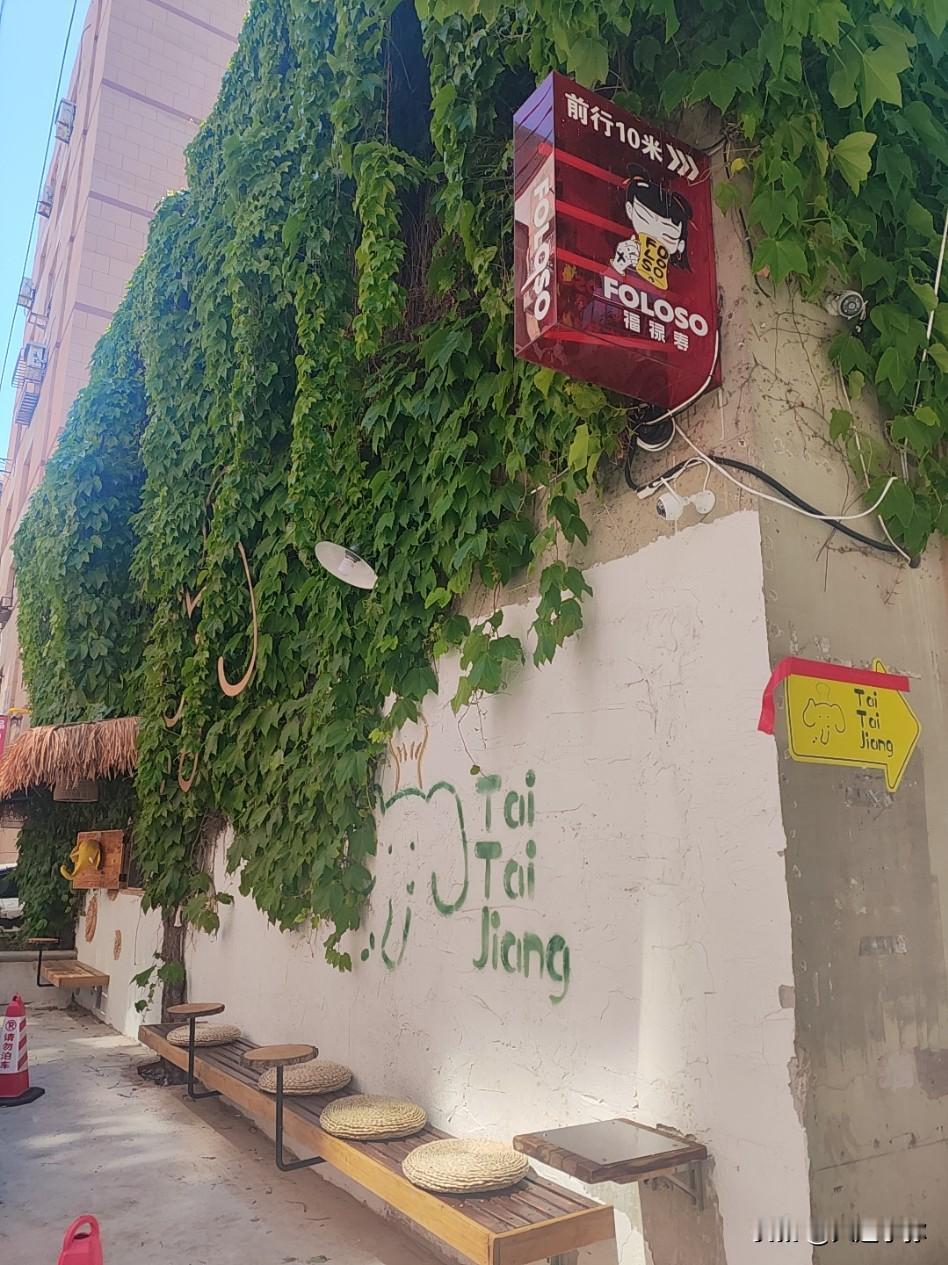 🐘 大连昆明街奇遇记：大象屁股下喝咖啡，粽子摊前流哈喇子

路过昆明街一条叫同