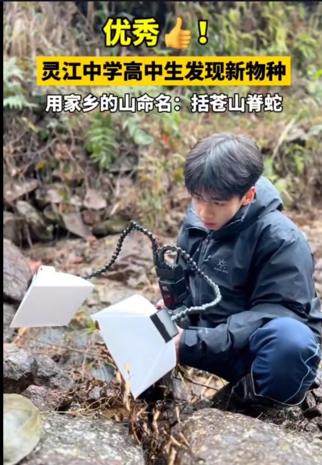 17岁高中生如何在夜间野外调查中发现新物种“筷子蛇”？这一奇迹般的发现让科学界为