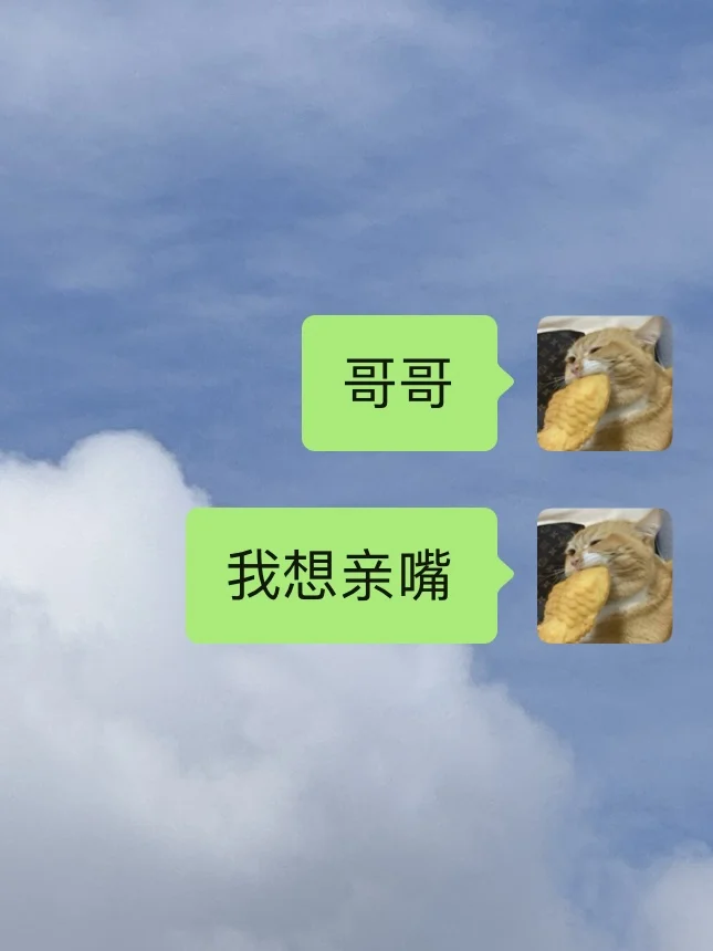 《烂梗炮轰男友》4.0