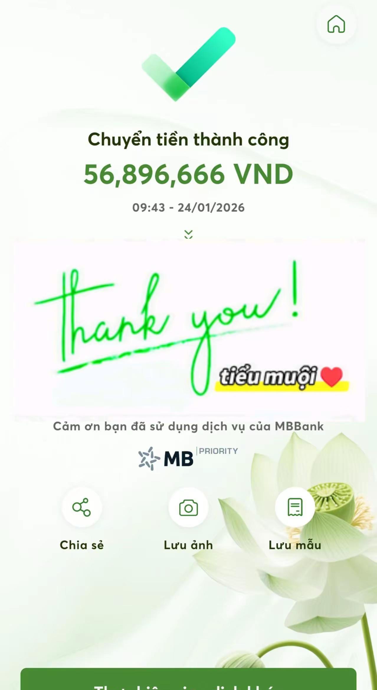 Gần den tet rồi ce chưa tìm được chỗ uy 